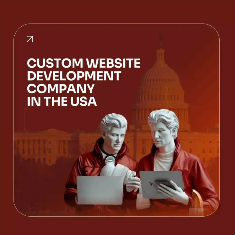 CUSTOM SOFTWARE DEVELOPMENT IN THE USA